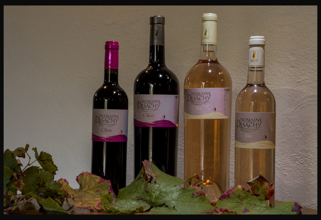 Photo du terroir différents vins